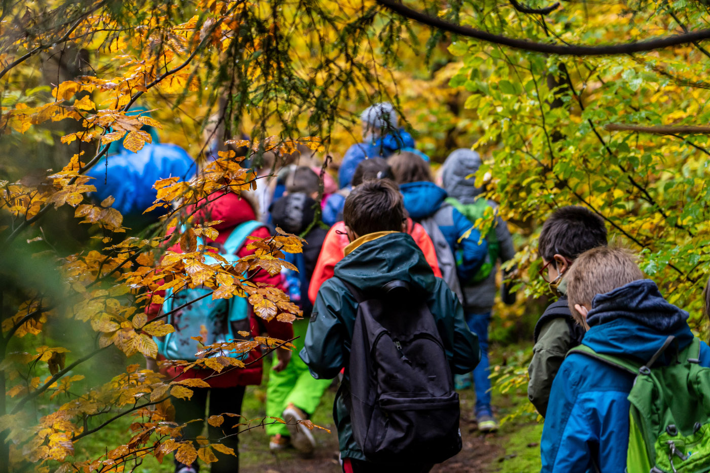 Trotz erforderlicher Sparmaßnahmen des Landes wird es keine Einschränkungen auf die Durchführungen von Schulwanderungen und Schulfahrten geben. ©Adobe Stock