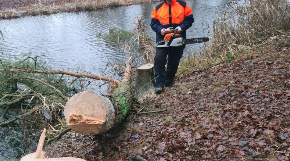 Ein junger Mann hat in der Nähe eines Flusses mit einer Motorsäge einen kleinen Baum gefällt.