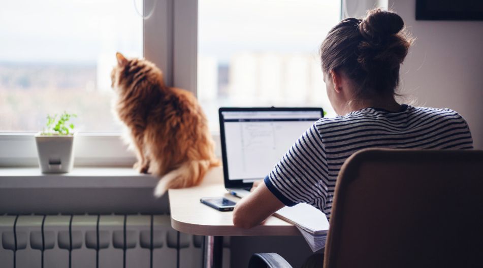 Eine Frau arbeitet zu Hause an ihrem Schreibtisch mit einem Laptop. Im Hintergrund sitzt eine Katze auf dem Fensterbrett.