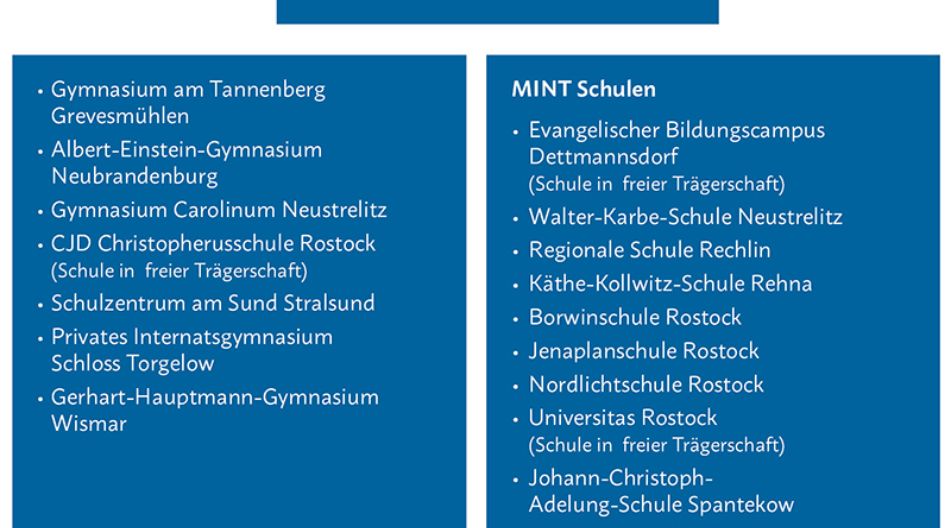 Grafik Begabungsförderung MINT