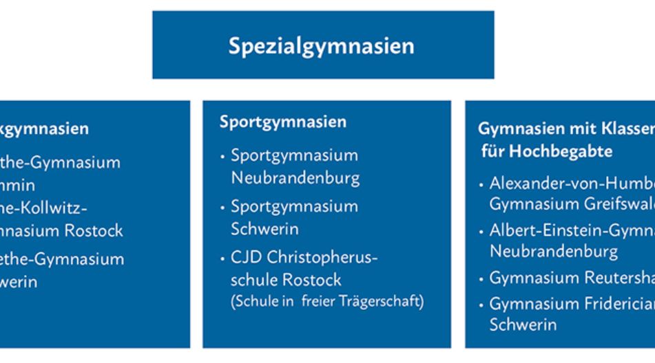 Grafik zu Spezialgymnasien in MV.