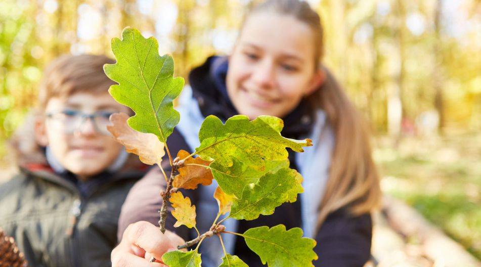 Ein Mädchen und ein Junge im Wald betrachten ein Zweig mit grünen und herbstlich verfärbten Blättern, die das Mädchen in die Kamera hält.