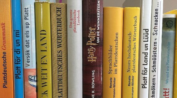 Bücherreihe mit Schwerpunkt auf plattdeutscher Sprache, darunter Grammatik, Wörterbücher und literarische Werke wie eine plattdeutsche Ausgabe von 'Harry Potter'